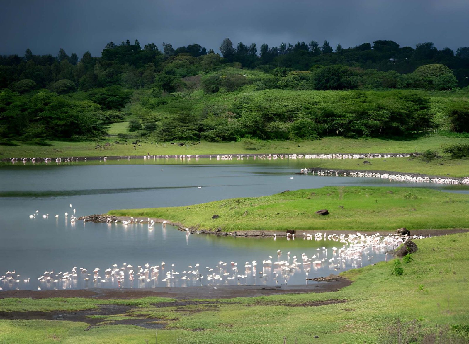Landscape of Arusha National Park