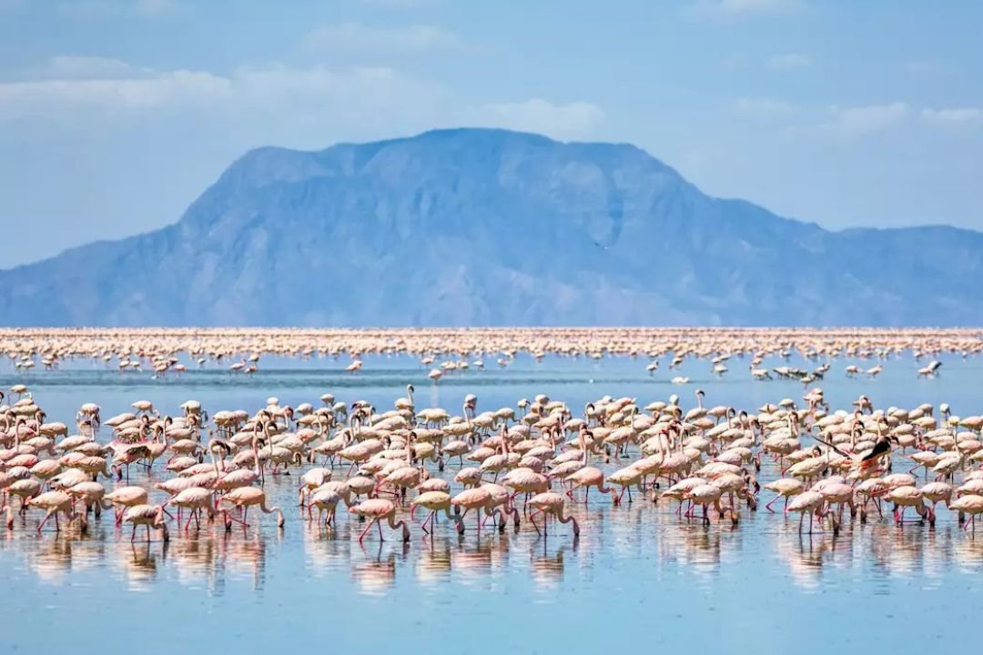Lake Natron (1)