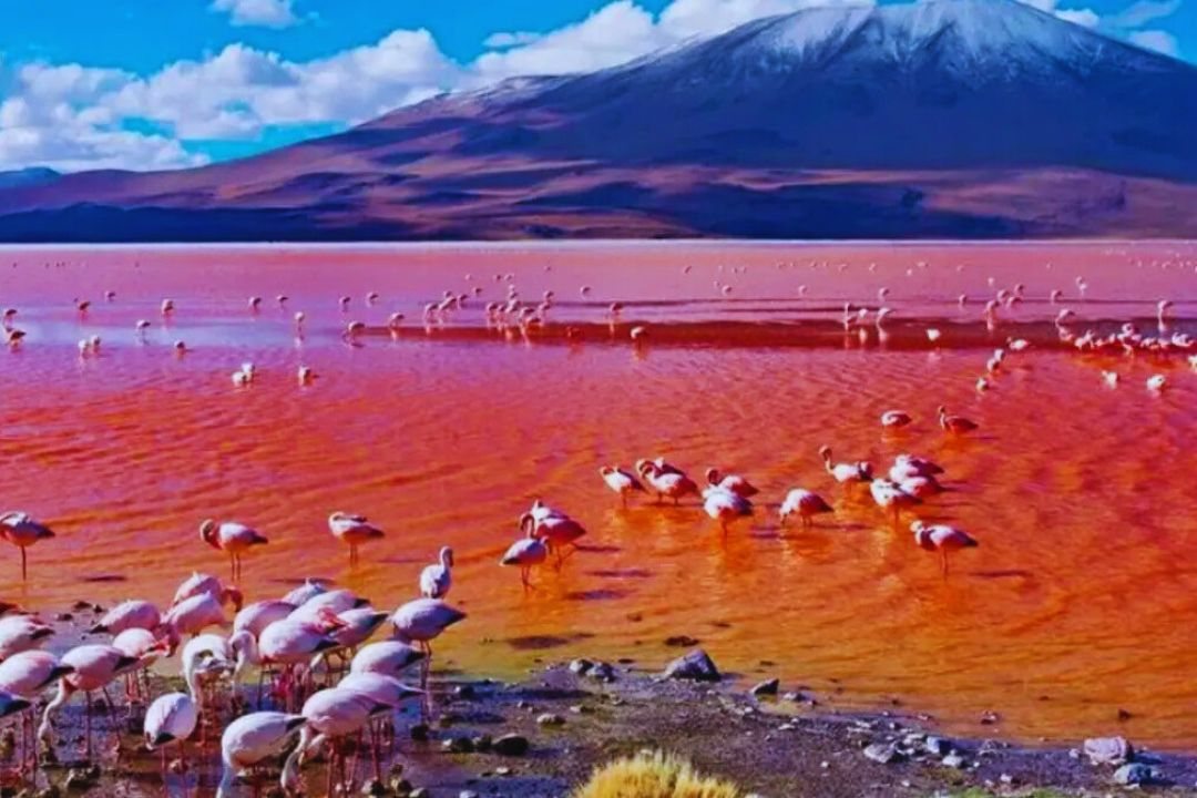 Landscape of Lake Natron