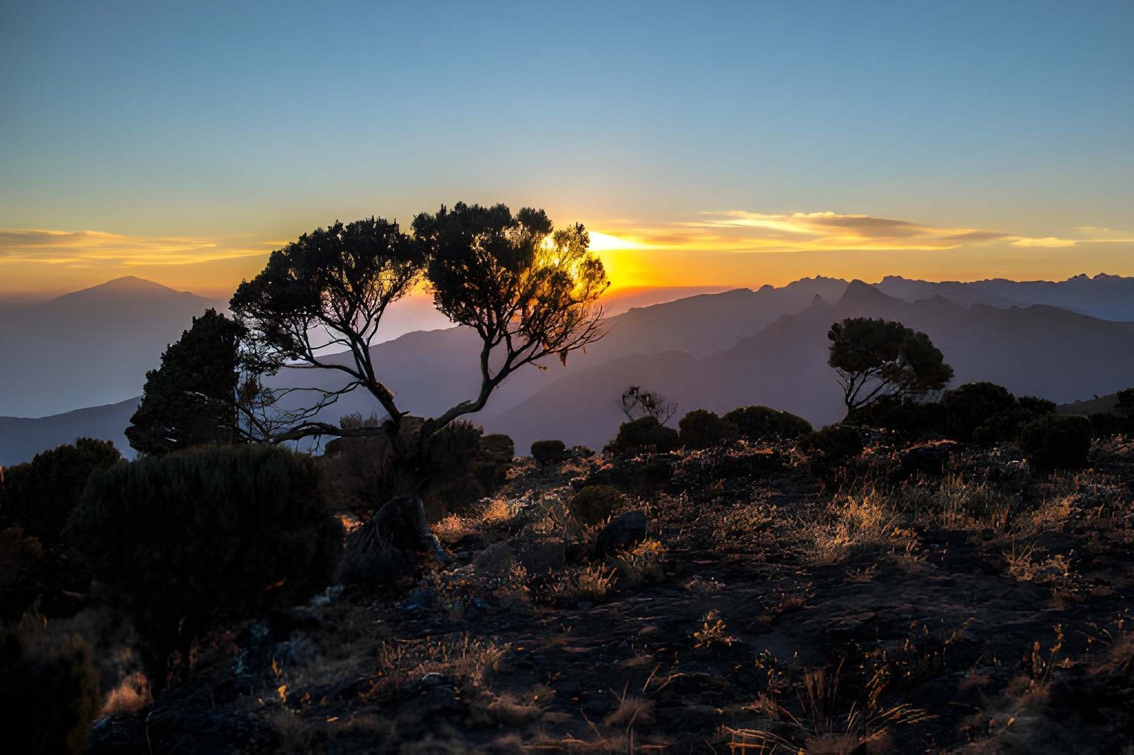 Machame route