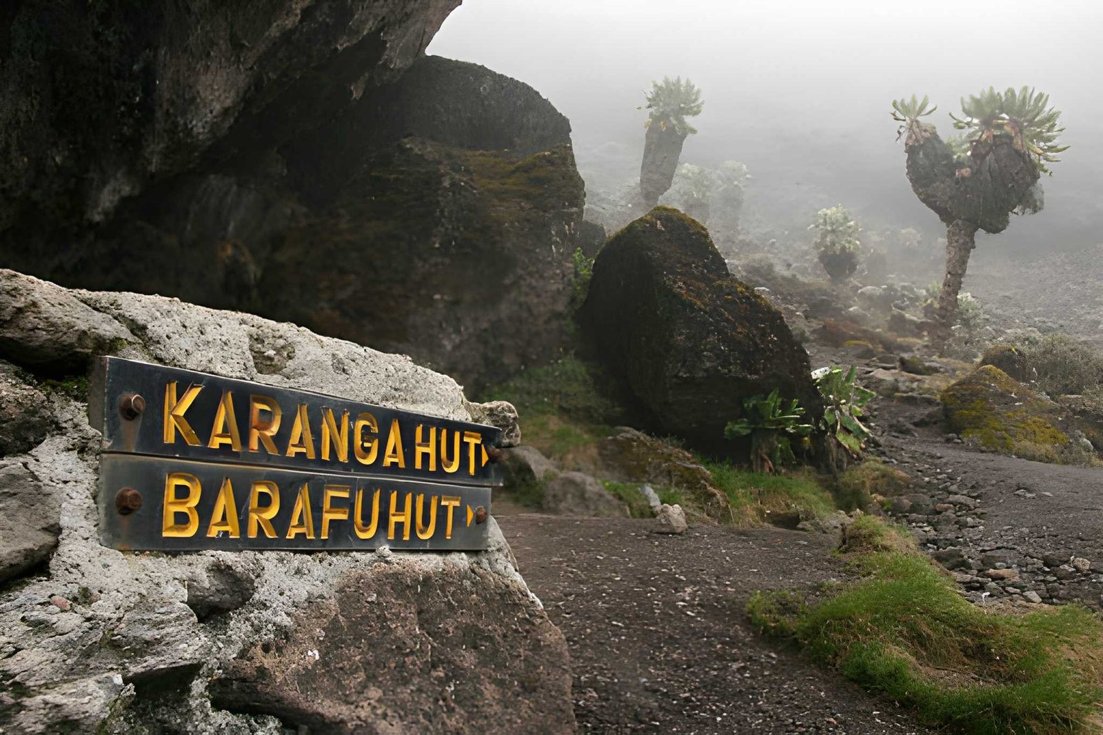 Marangu route (1)