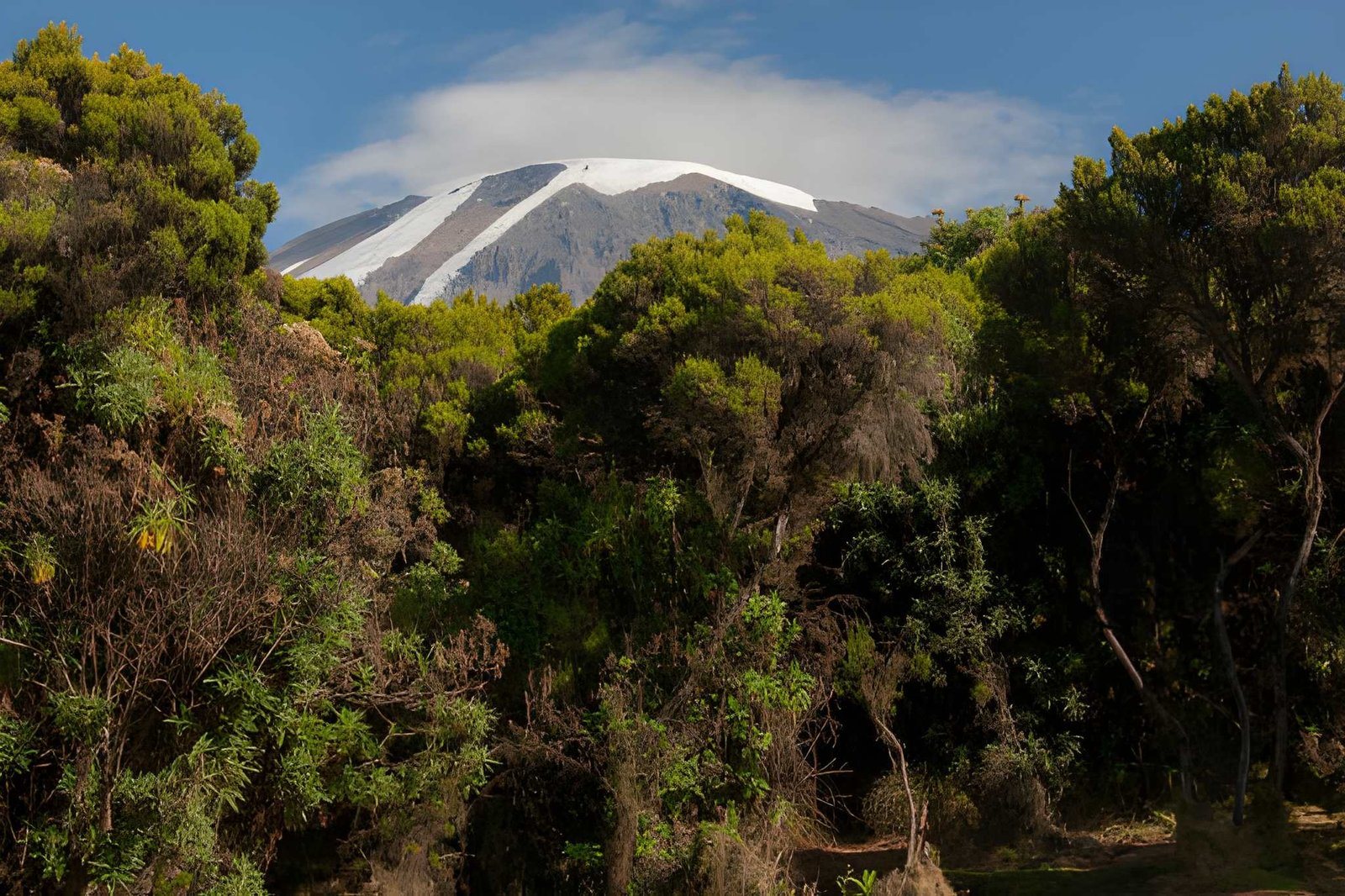 Marangu route (2)