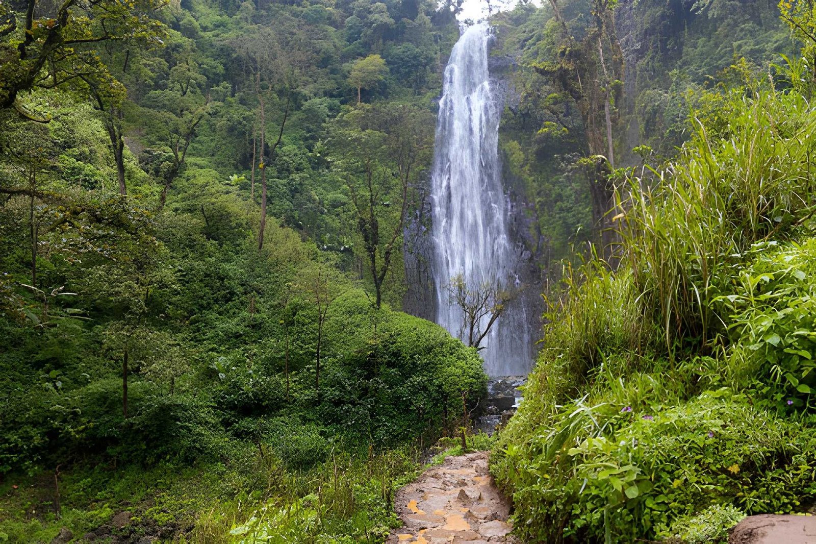 Materuni Waterfalls & Coffee Tour