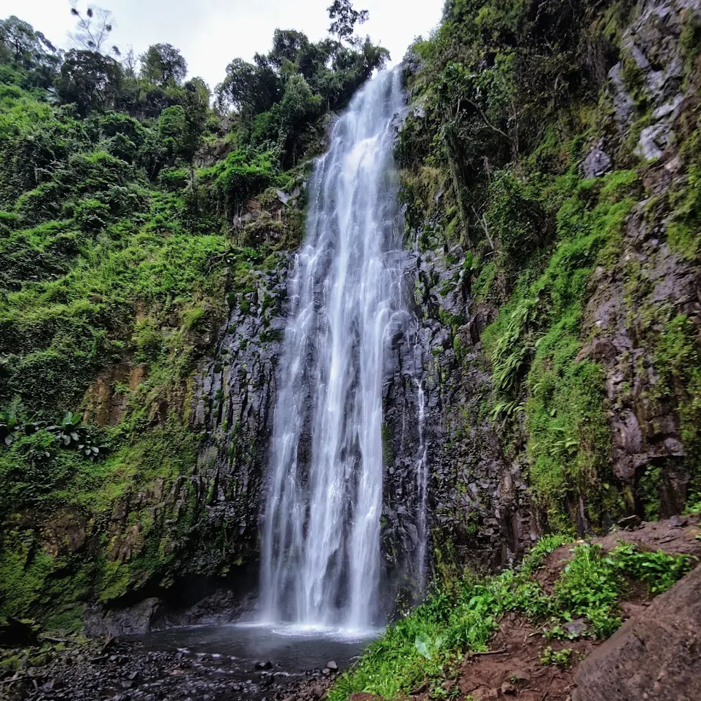 Moshi & Kilimanjaro Region, Tanzania
