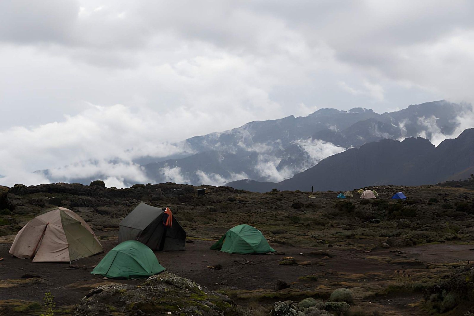 Mt. Kilimanjaro (6)