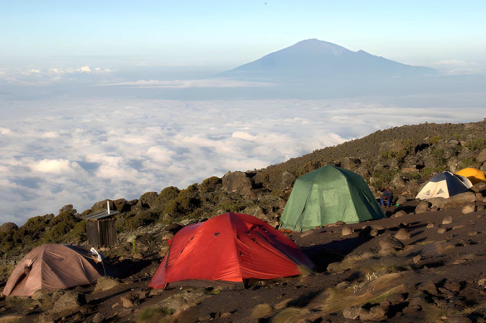 Mt. Kilimanjaro (7)