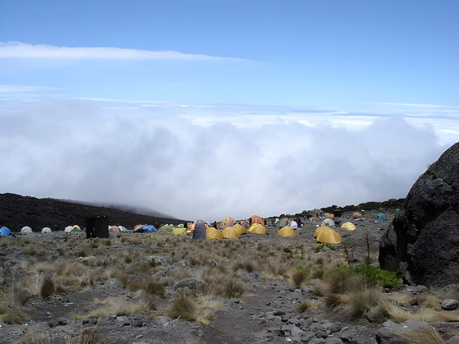 Mt. Kilimanjaro (8)
