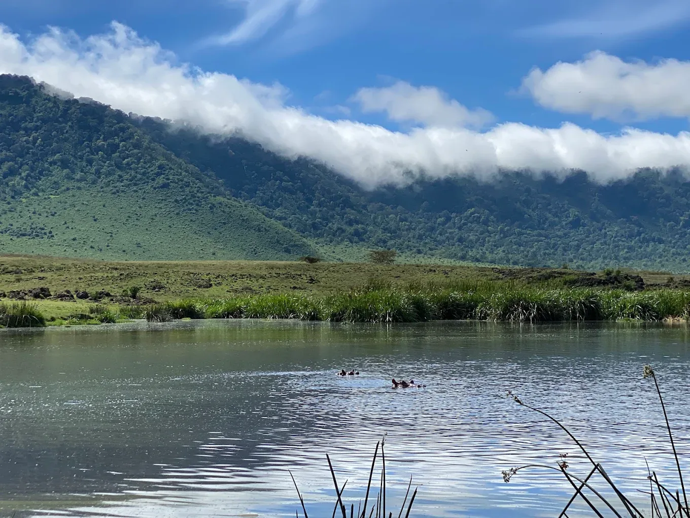 Landscape of Ngorongoro Conservation Area & Crater