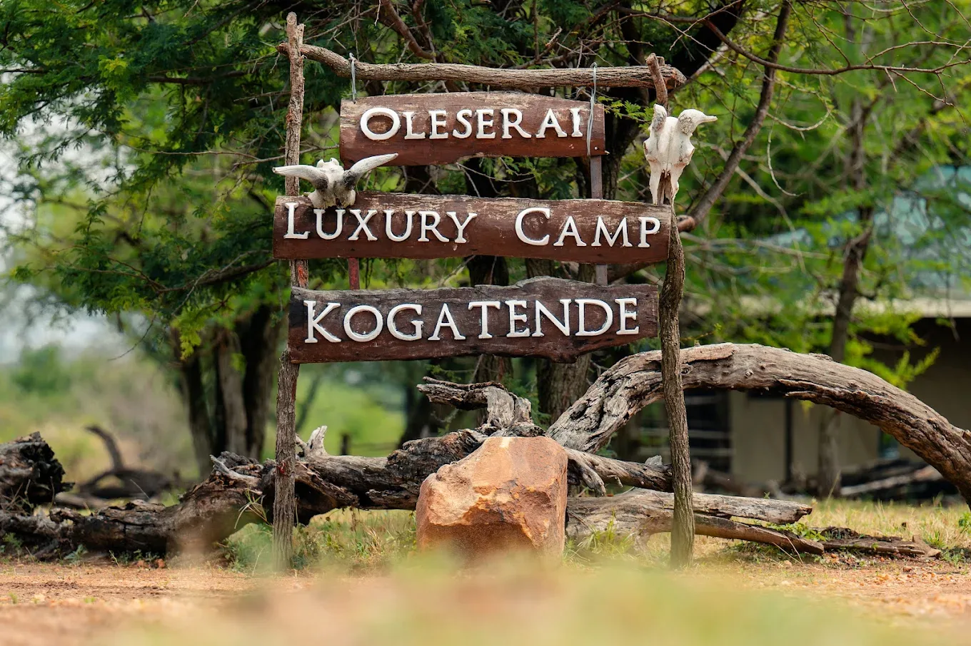 Ole Serai Luxury Camp 1