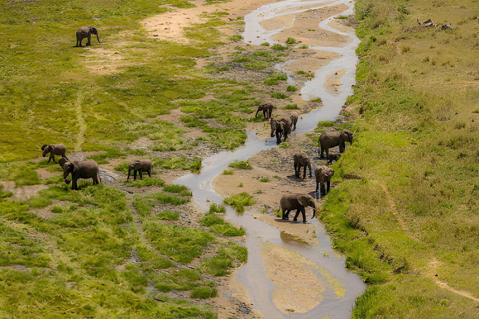 Tarangire National Park, Tanzania